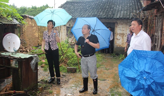 县人大常委会主任张达华深入徐桥村前进村察看灾情